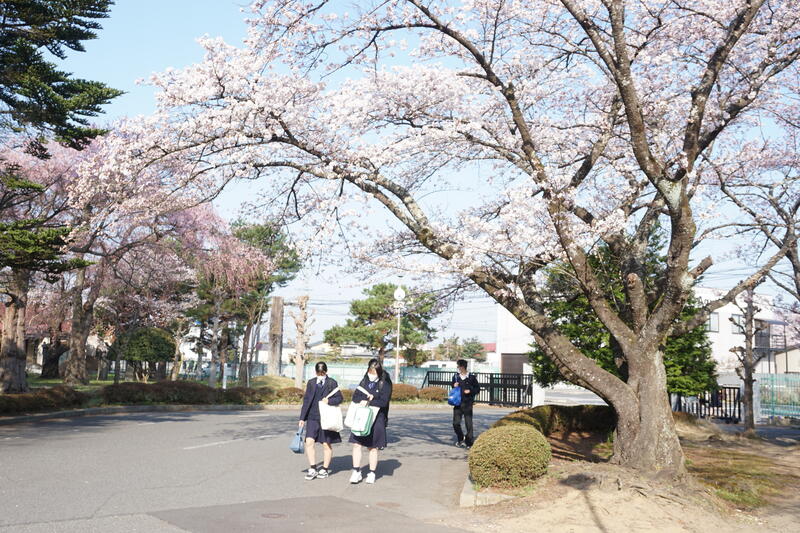 登校風景