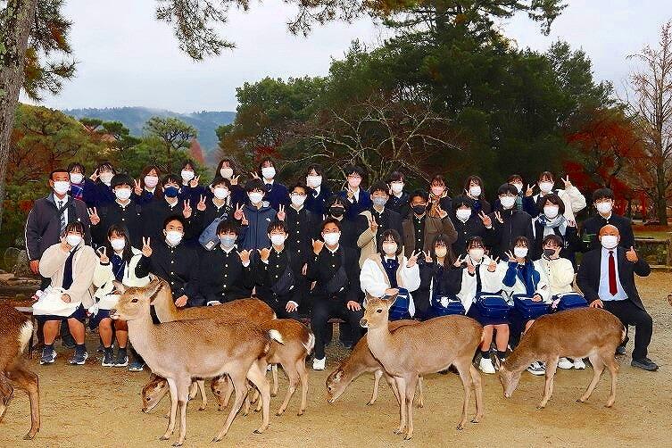 奈良公園にて